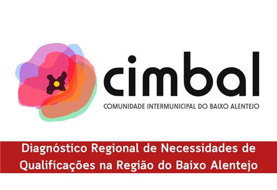 Diagnóstico Regional de Necessidades de Qualificações na Região do Baixo Alentejo