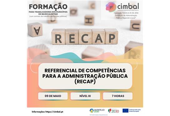 Referencial de Competências para a Administração Pública (ReCAP)