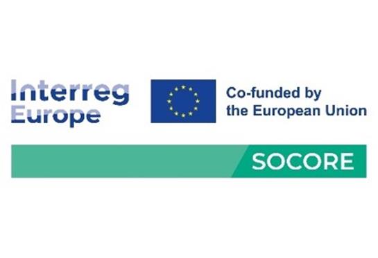 Social Competences for Research and Innovation Infrastructure - SOCORE