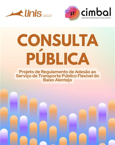 Consulta Pública