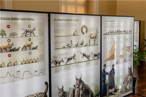 EXPOSIÇÃO “O LINCE NA PENÍNSULA – CONECTAR TERRITÓRIOS E CONSOLIDAR POPULAÇÕES” INAUGURADA EM LISBOA