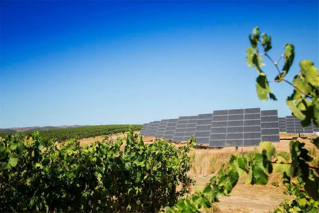 Programa Sustentabilidade dos Vinhos do Alentejo vence Concurso Europeu de Inovação Rural 2019!