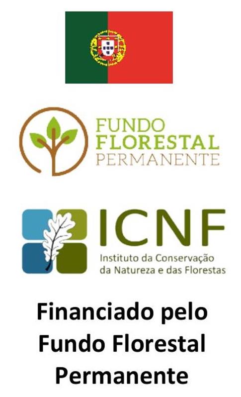 CIMBAL submete candidatura ao Fundo Florestal Permanente