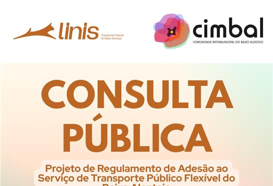 Consulta Pública