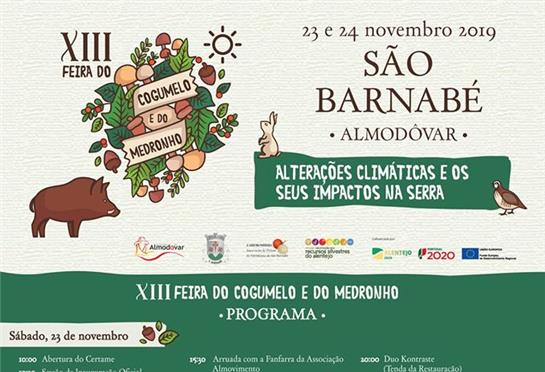 Conheça o programa completo da XIII edição da Feira do Cogumelo e do Medronho.