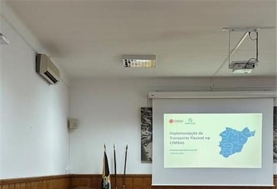 Transporte Flexível no Baixo Alentejo