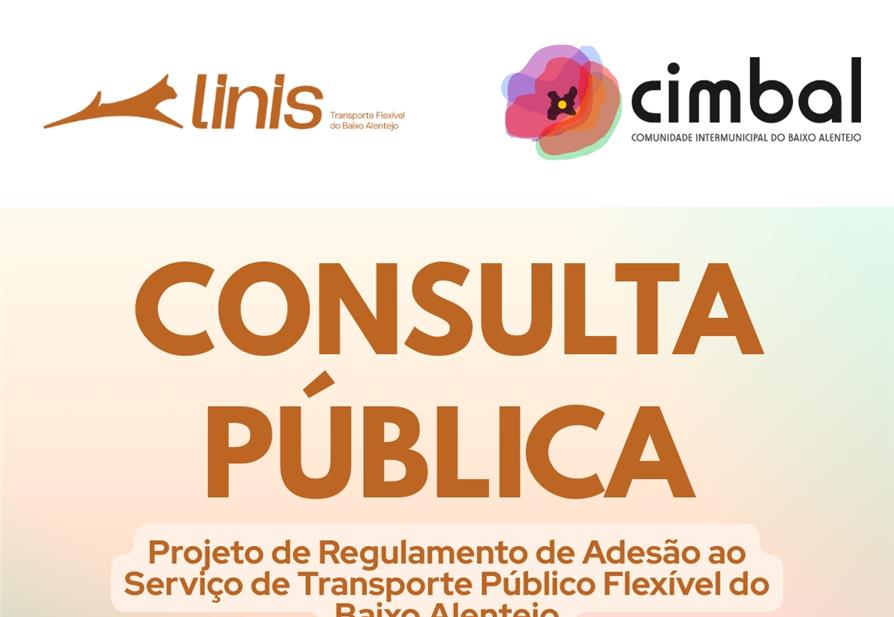 Consulta Pública