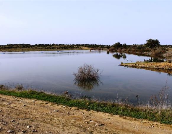 Barragem da Boavista - Almodôvar_